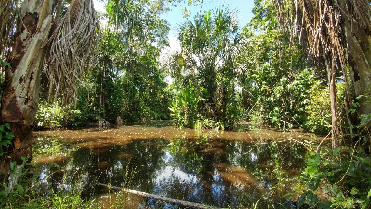 K'Erenda Homet Reserva Natural Puerto Maldonado Exterior foto